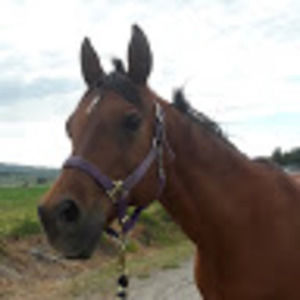 Meet your Posher, Kari